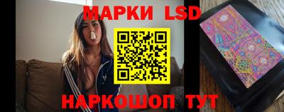 гидропоника Краснознаменск