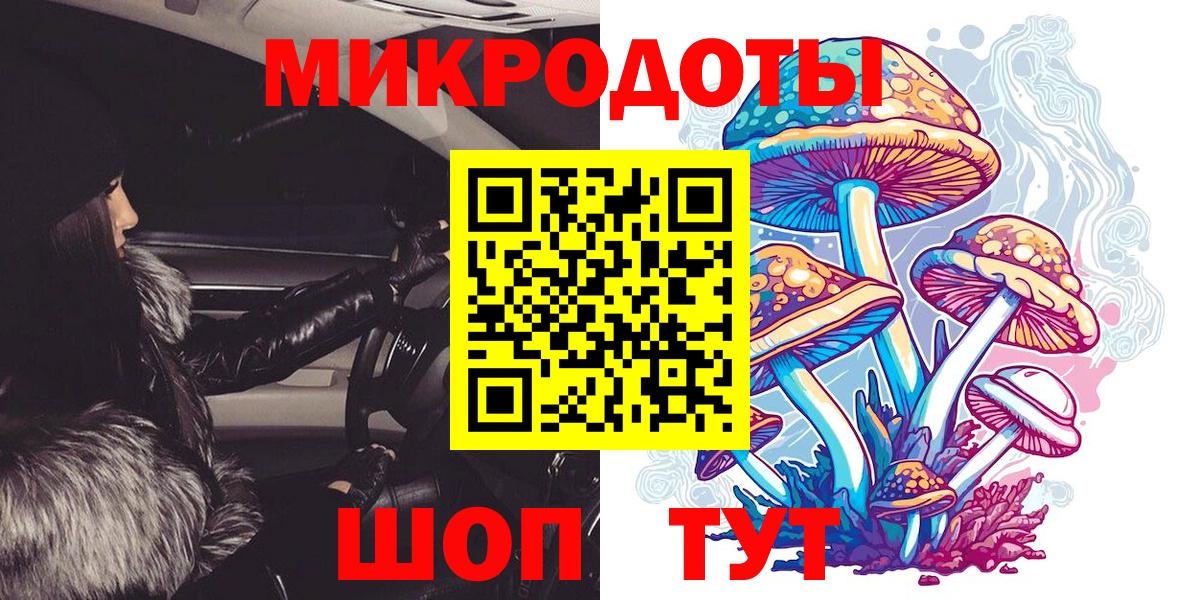 Галлюциногенные грибы Magic Shrooms Каменка
