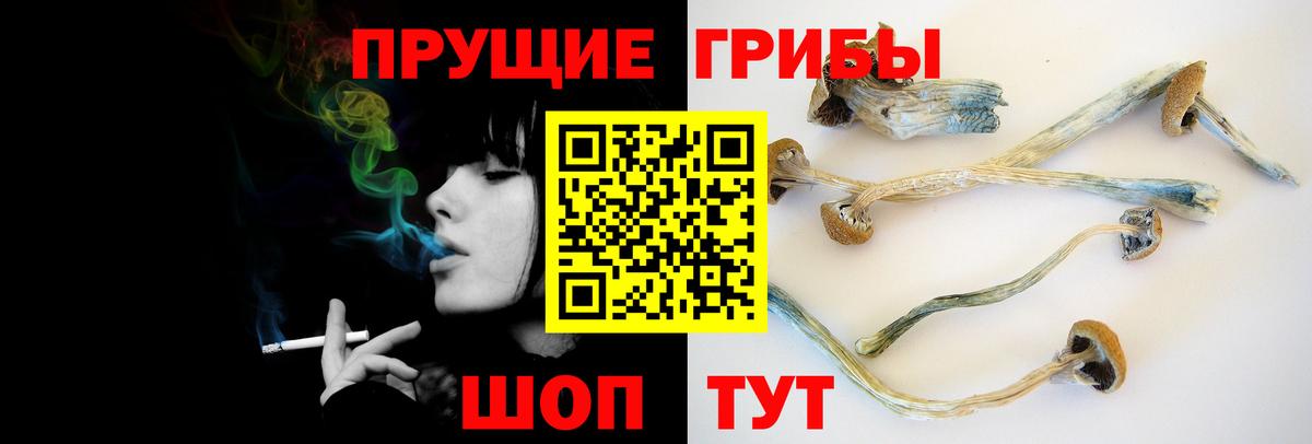 Каменка  где можно купить   Вход с VPN  Псилоцибиновые грибы Magic Shrooms 